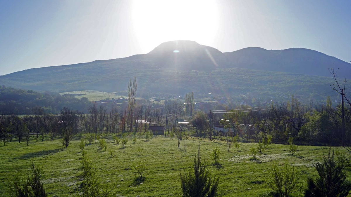 Раньше здесь выращивали розы