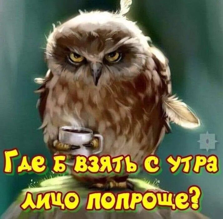 Фото из интернета.