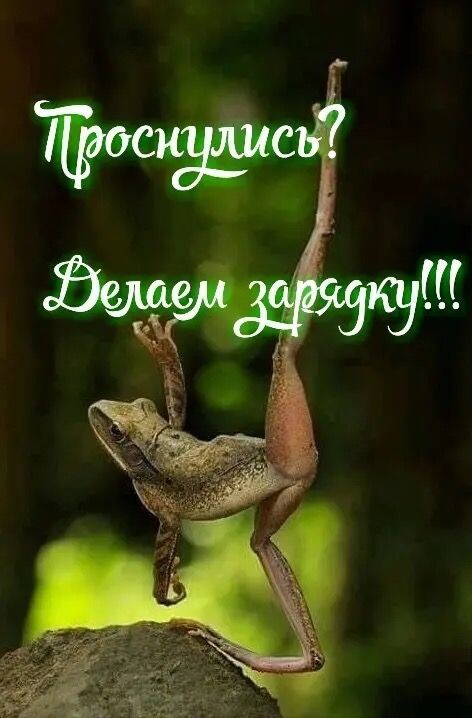 Фото из интернета.