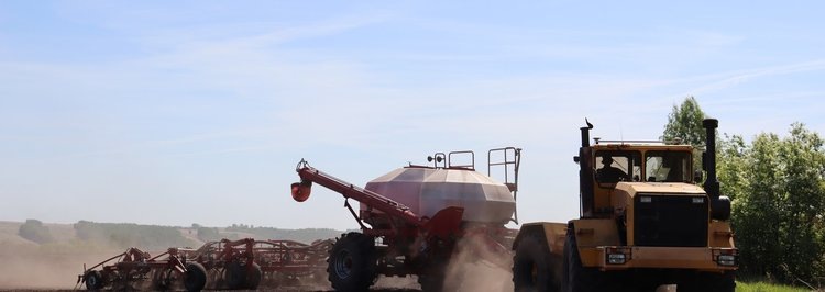    В посевную 2025 красноярские фермеры добавляют площади с чечевицей, агрохолдинги внедряют точное земледелие