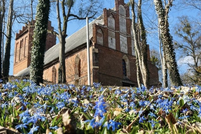   Фото: группа кирхи Домнау, «ВКонтакте»