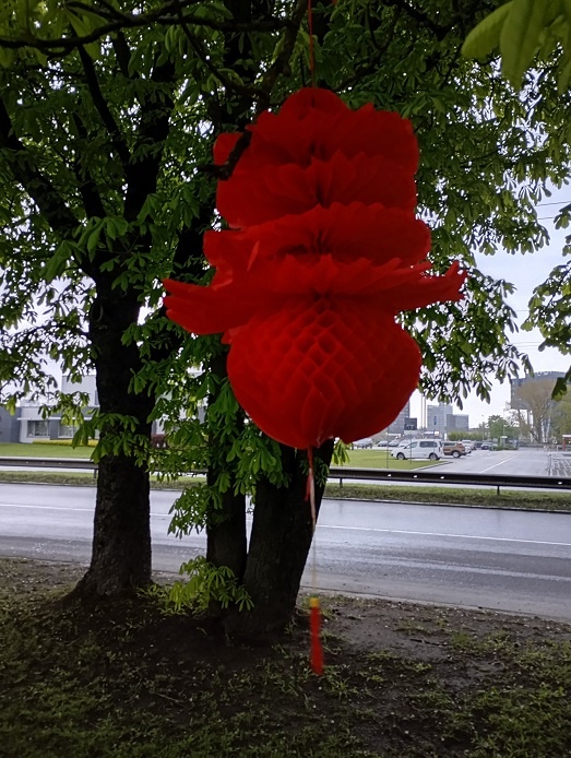 Рига, 17 мая 2025