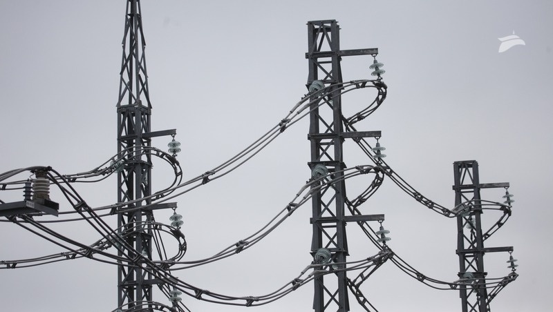      Фото: ИА «Победа26»