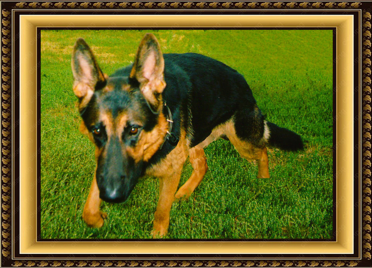 Фото из архива Ивановых и Рыжковых – НИКО, 2006