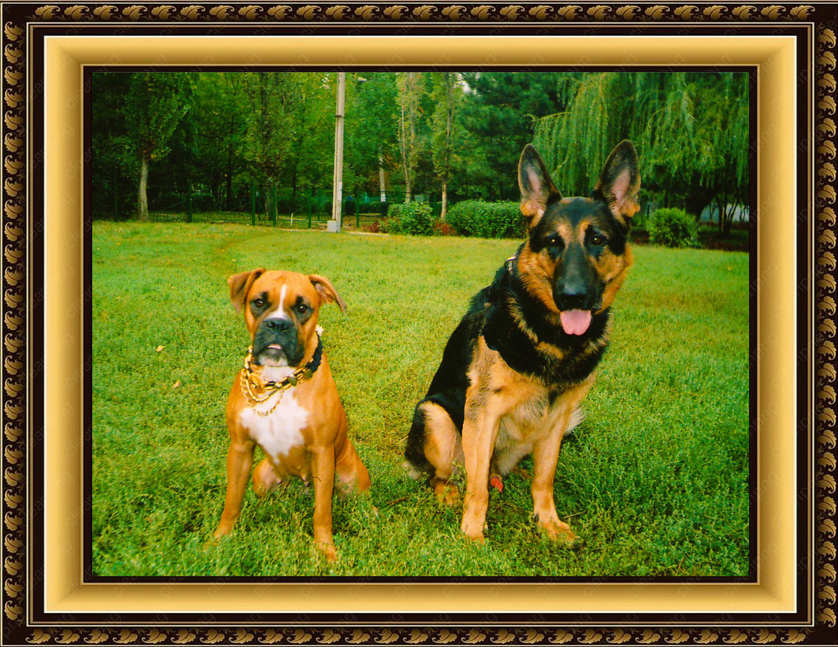 Фото из архива Ивановых и Рыжковых – ЮТА и НИК, 2006