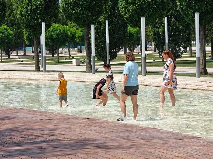    Фото: Юрий Серебренников/BFM Кубань