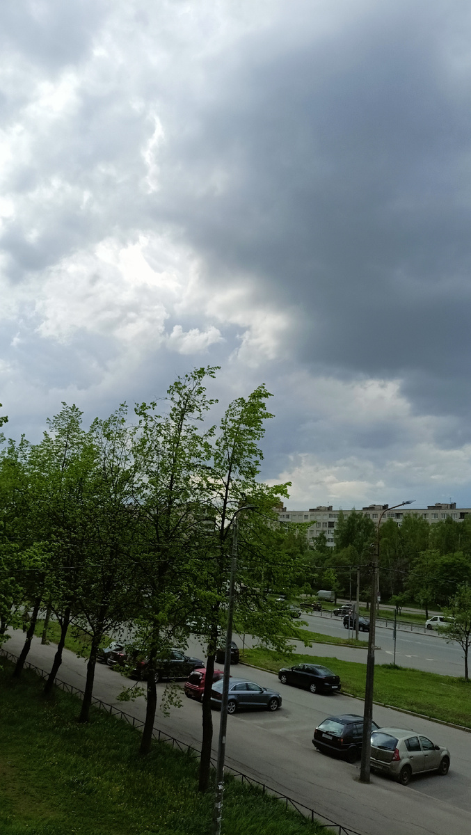 Фото автора. 15,50. СПб