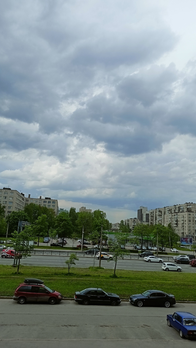 Фото автора. 15,50. СПб.