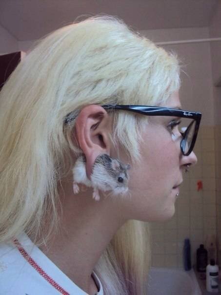 Источник Яндекс.фото 