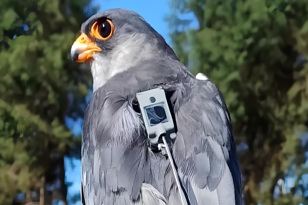 Фото: новостное агентство Asia News Network