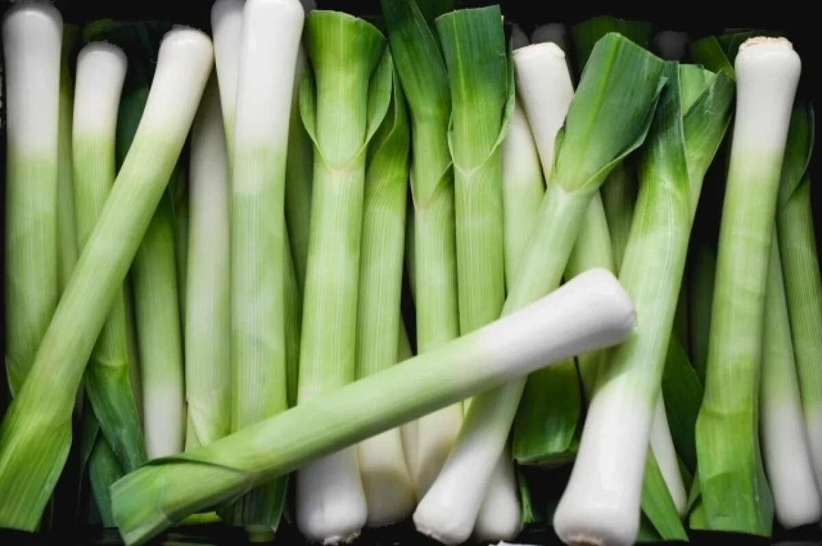    Врачи объяснили, почему стоит есть лук-порей каждый день