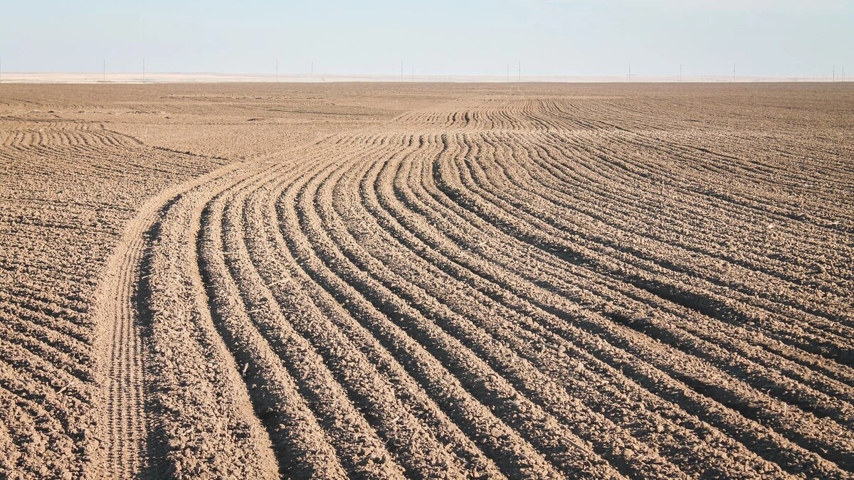     Источник: 1MI