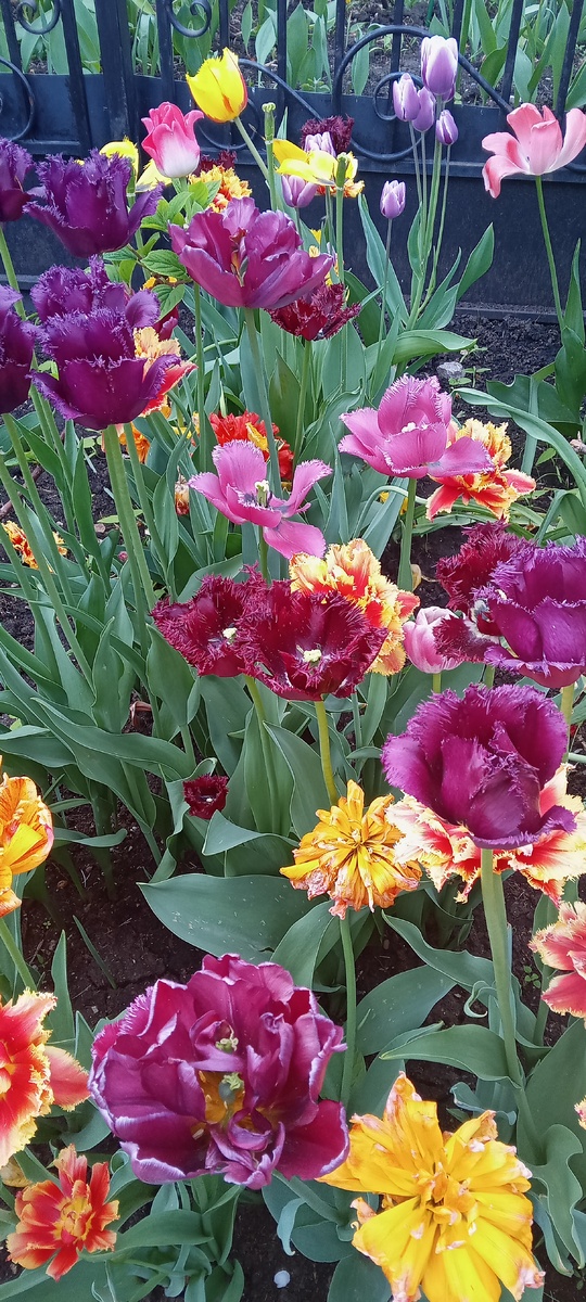 Всем добра, бобра и бабла🍸Это были хорошие пять лет. Но пора идти дальше