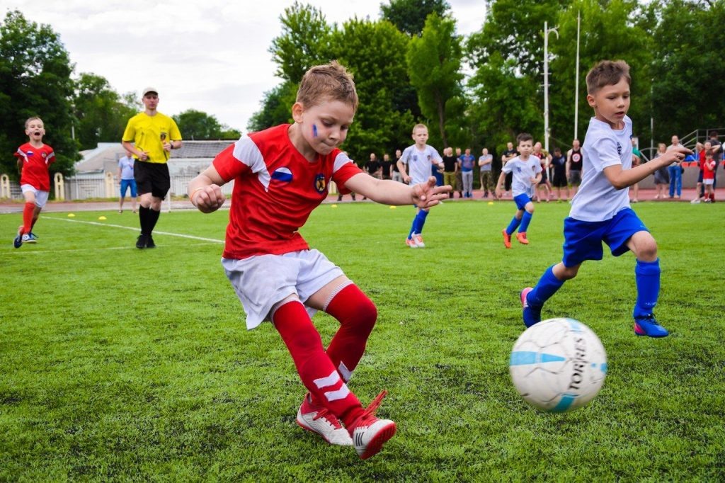    фото: donland.ru Редактор