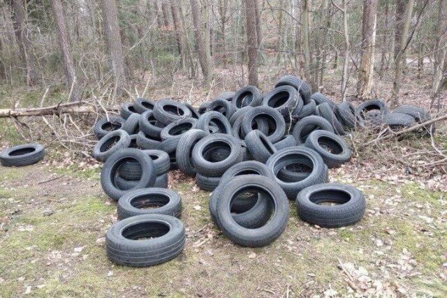    Фото: телеграм-канал прокуратуры Калининградской области