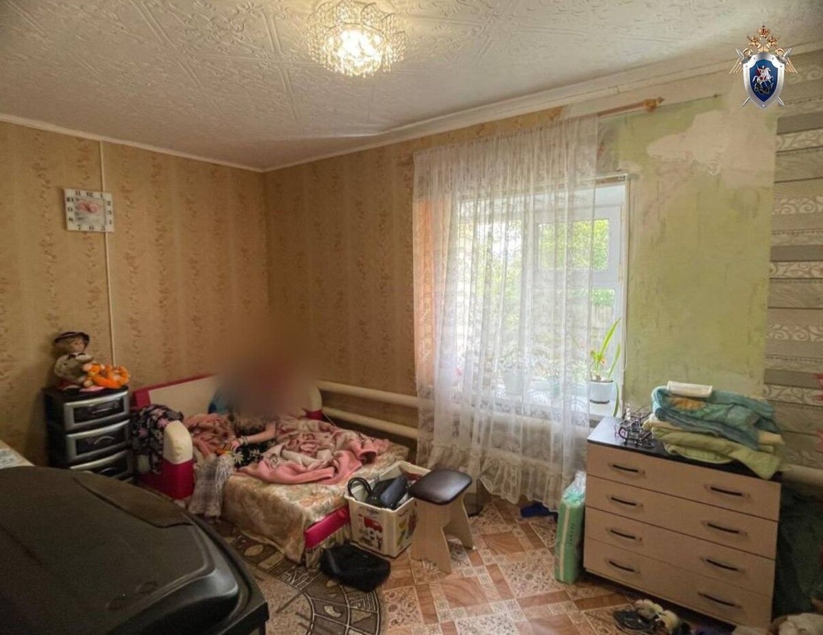     / Источник: ©СК РФ по Челябинской области