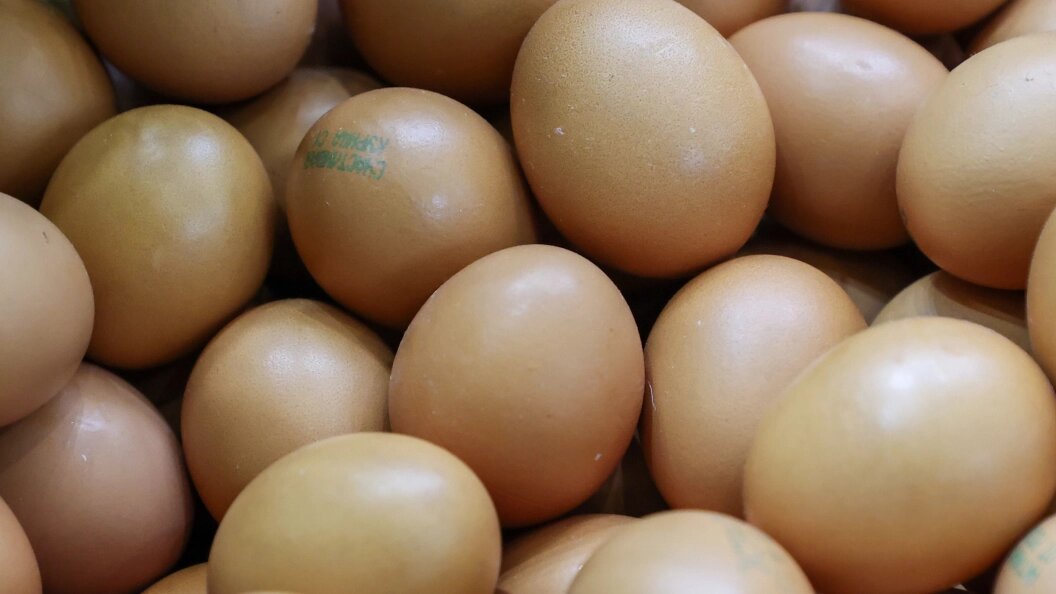    Belkin Alexey/news.ru/Globallookpress