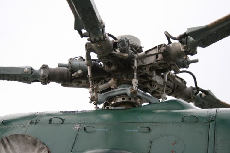    Фото: wikipedia.org/Roberta F Александра Горохова