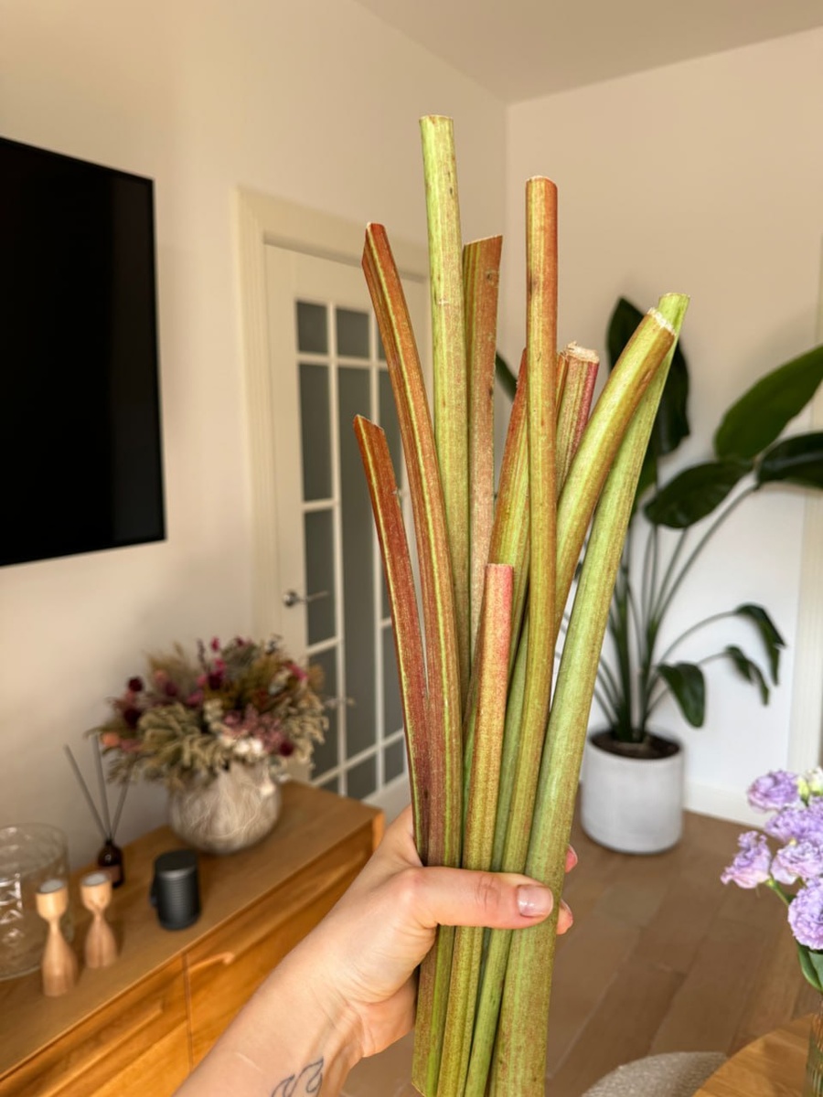 Смотрите, какой красавчик! 