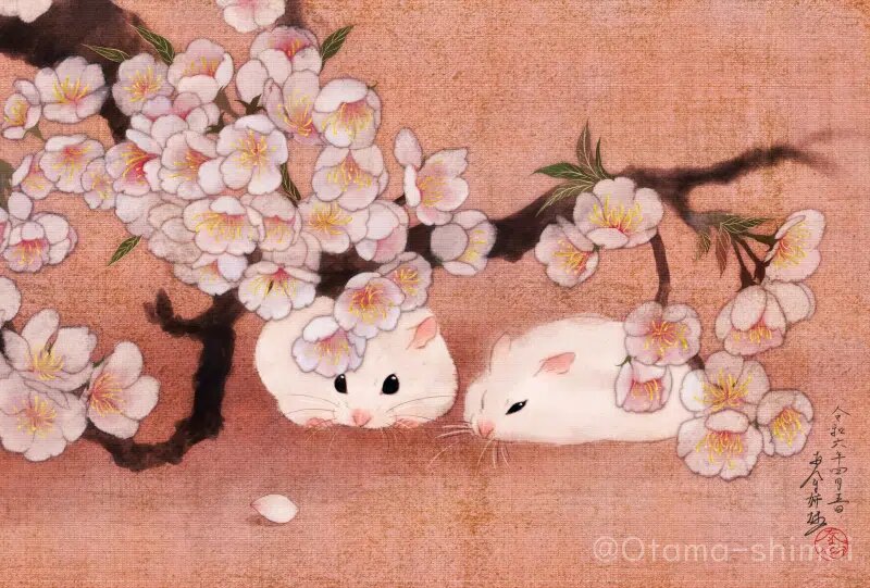 Источник: otamashimai.square.site