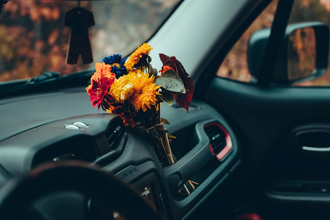 Unsplash/Olga Kononenko