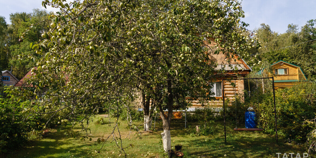 Как дача и огород помогают городским пенсионерам жить дольше: проверенные факты
