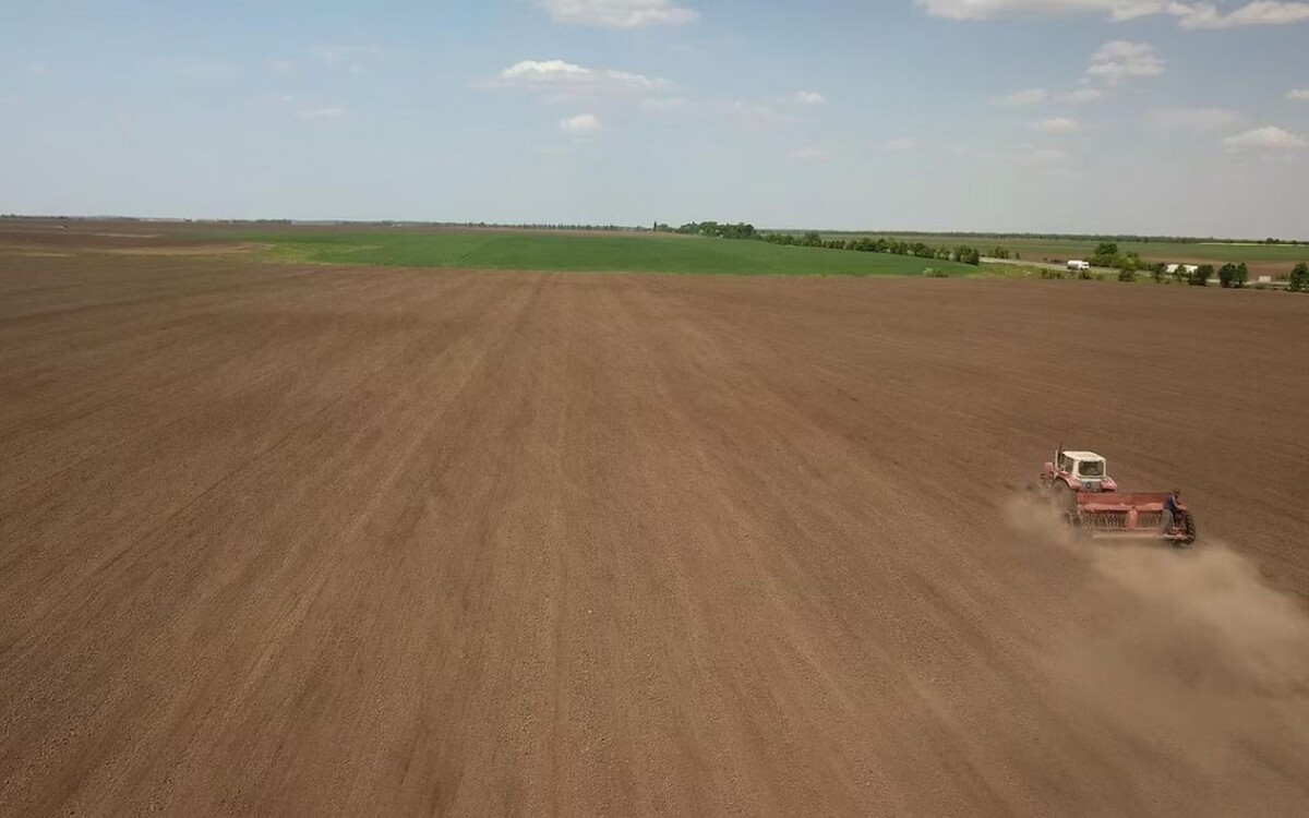    Воронежский торговец удобрениями «АгроСорос Трейд» показал рекордные налоги при падении выручки Фото – ru.freepik.com