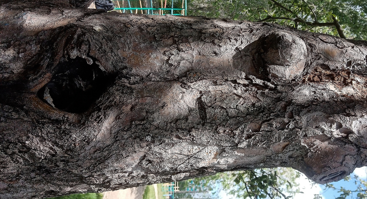 Фото автора.