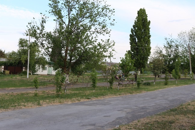    Фото автора Диана Огнева