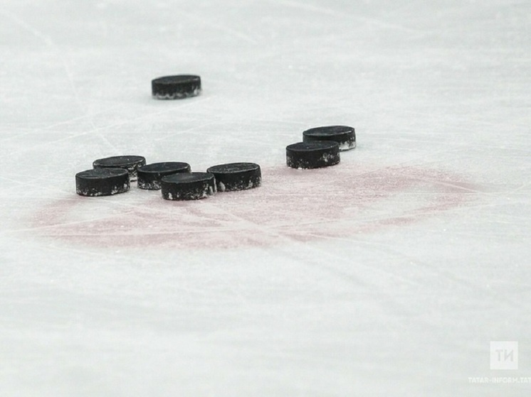     Фото: ИА "Татар-информ"