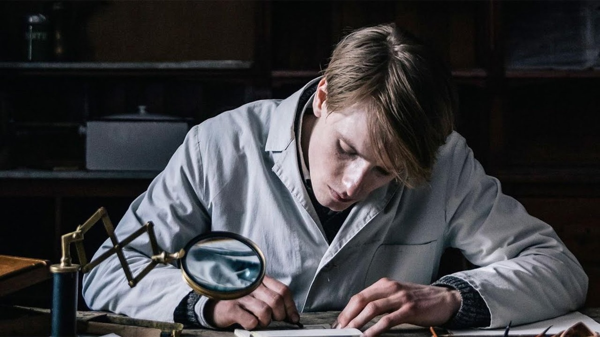 Фальсификатор/ Der Passfälscher, 2022