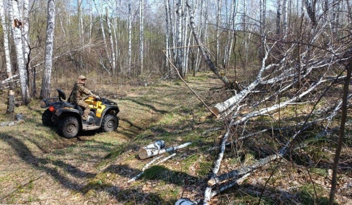     Лесная охрана. Источник: krskstate.ru Автор фото: Официальный портал Красноярского края