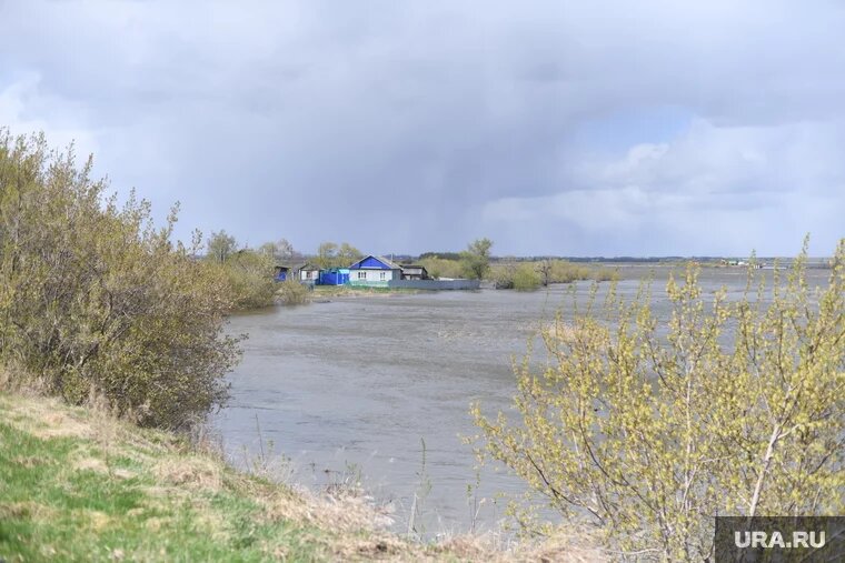 Женщина попросила знакомого утопить свою дочь (архивное фото). Фото: Никита Сабашников © URA.RU