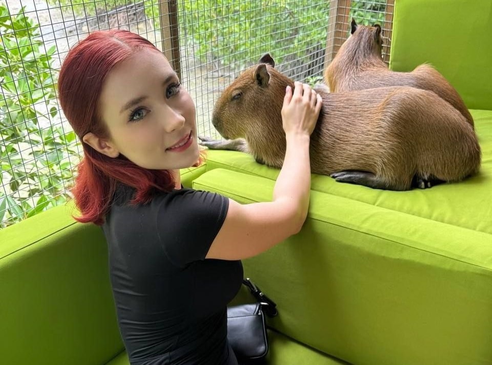 Фото: соцсети Sweetie Fox