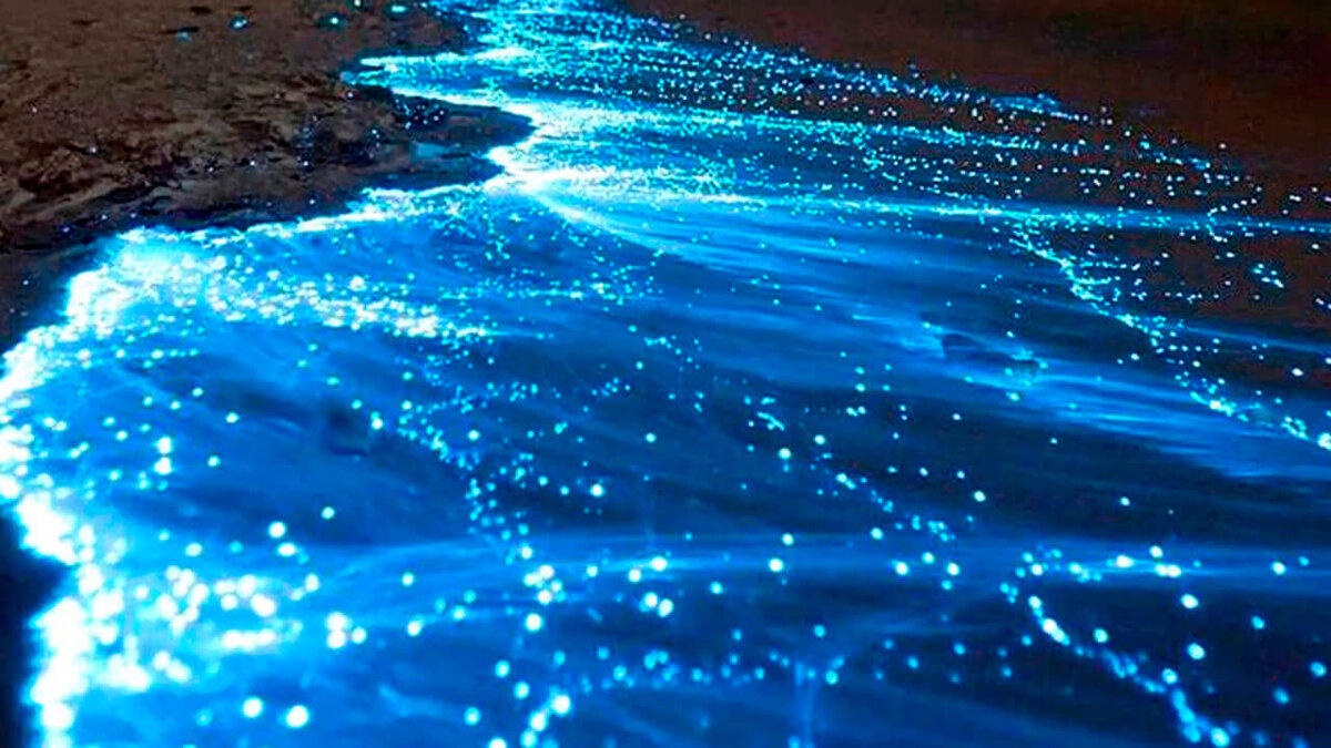 Море на Мальдивах действительно иногда светится по ночам