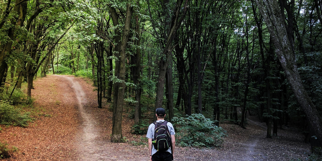 Как принять решение: идти или не идти?