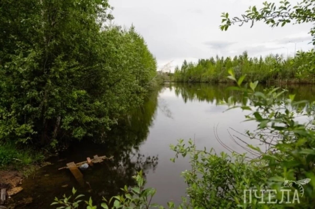    Стали известны скверы,