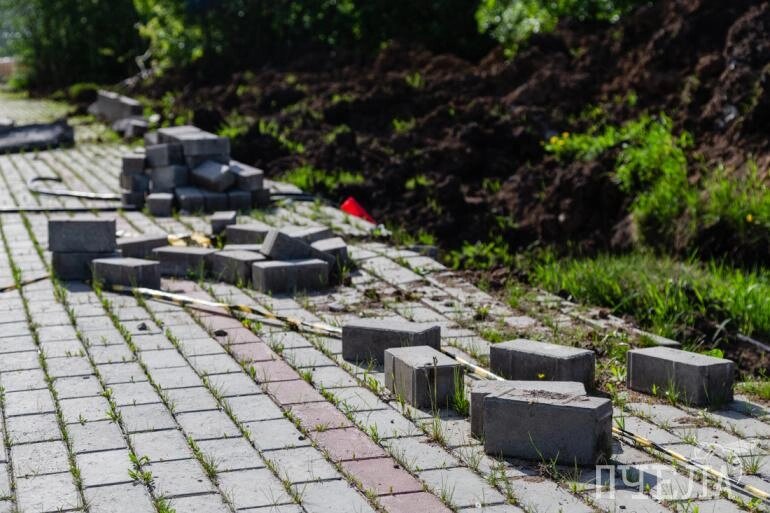    Здесь создают новые тропы Фото: Pchela.news