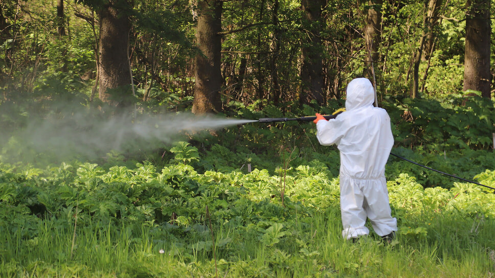 Фото: Правительство Ярославской области
