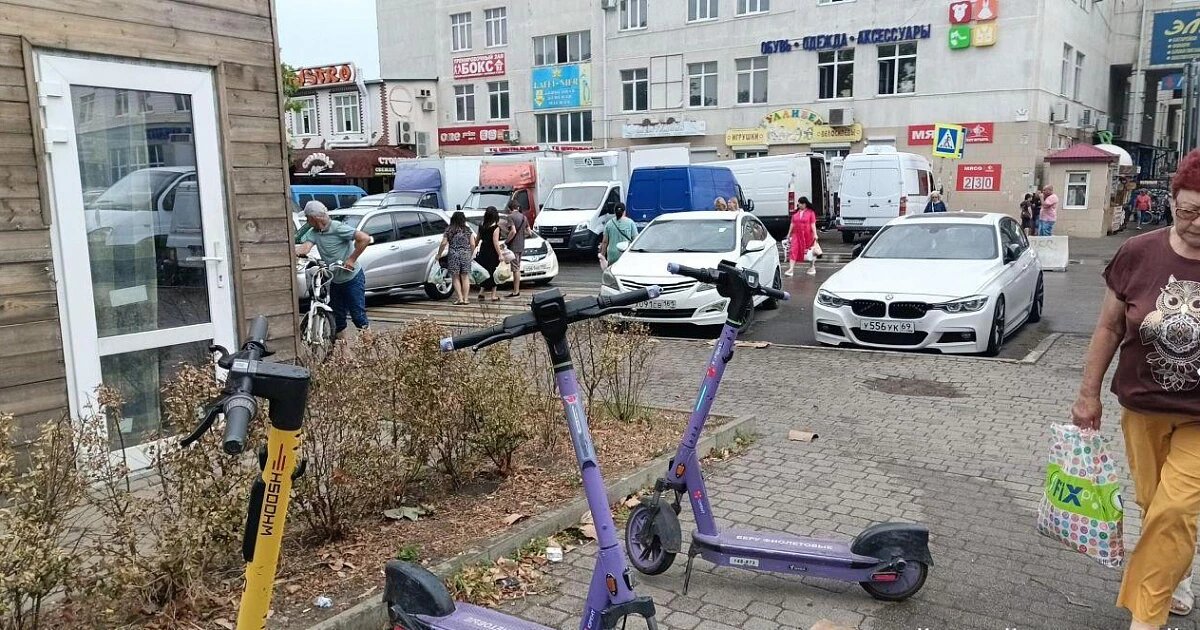 Фото: Анатолий Поздняков/Новороссийский рабочий