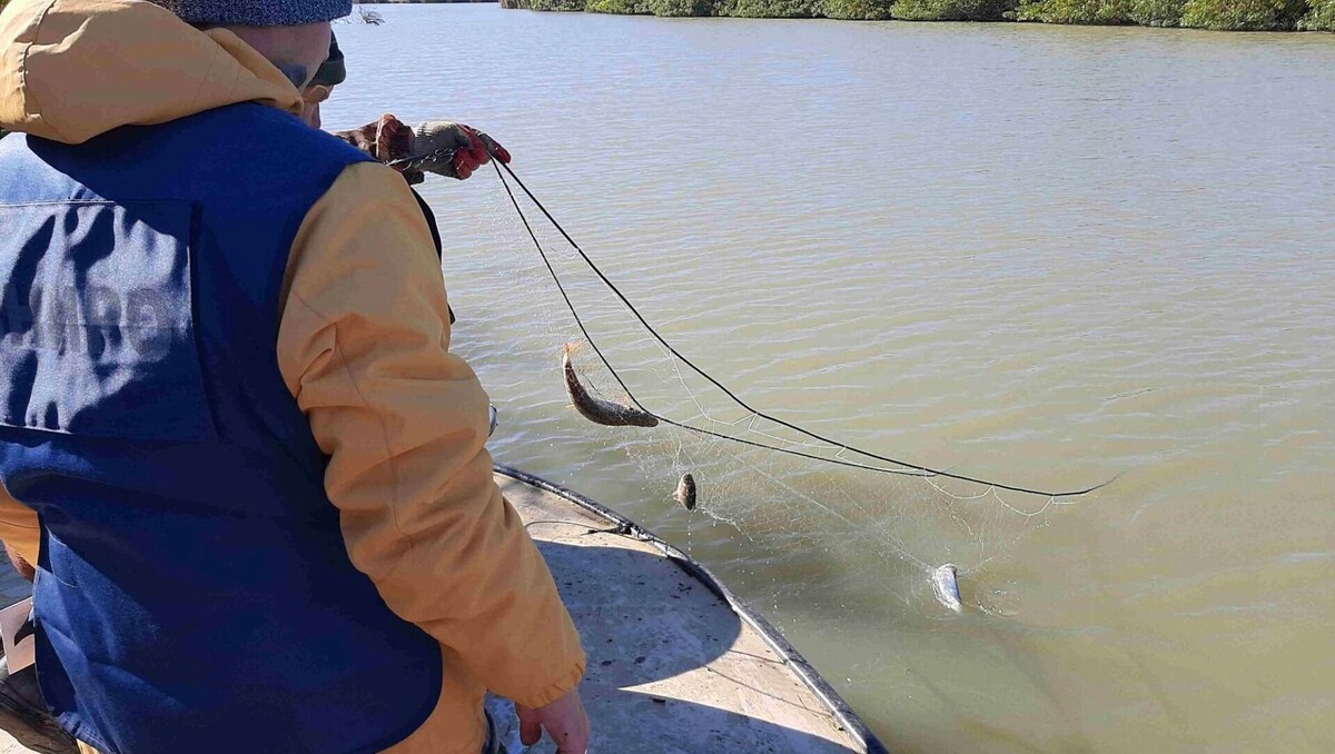     Автор: azniirkh.vniro.ru