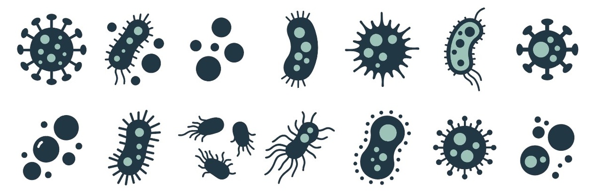 Вирусы и бактерии