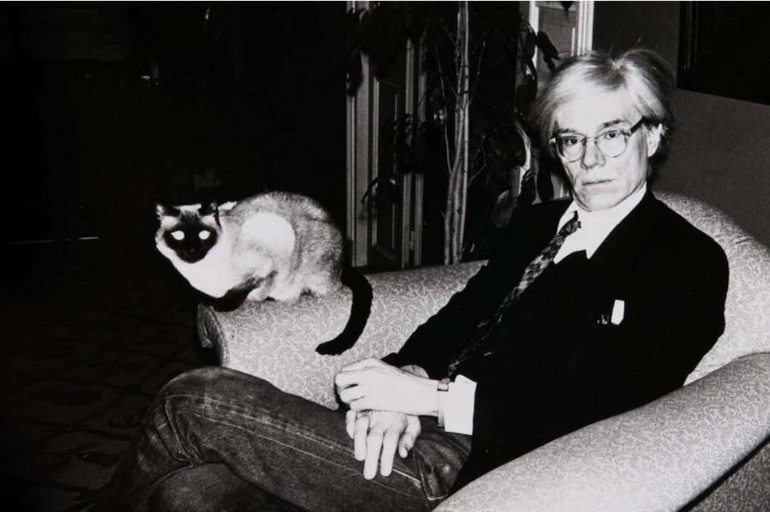 Энди Уорхол, фотография в свободном доступе.