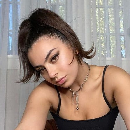     Чарли ХСХ, Робби Уильямс и U2 получили Ivor Novello Awards