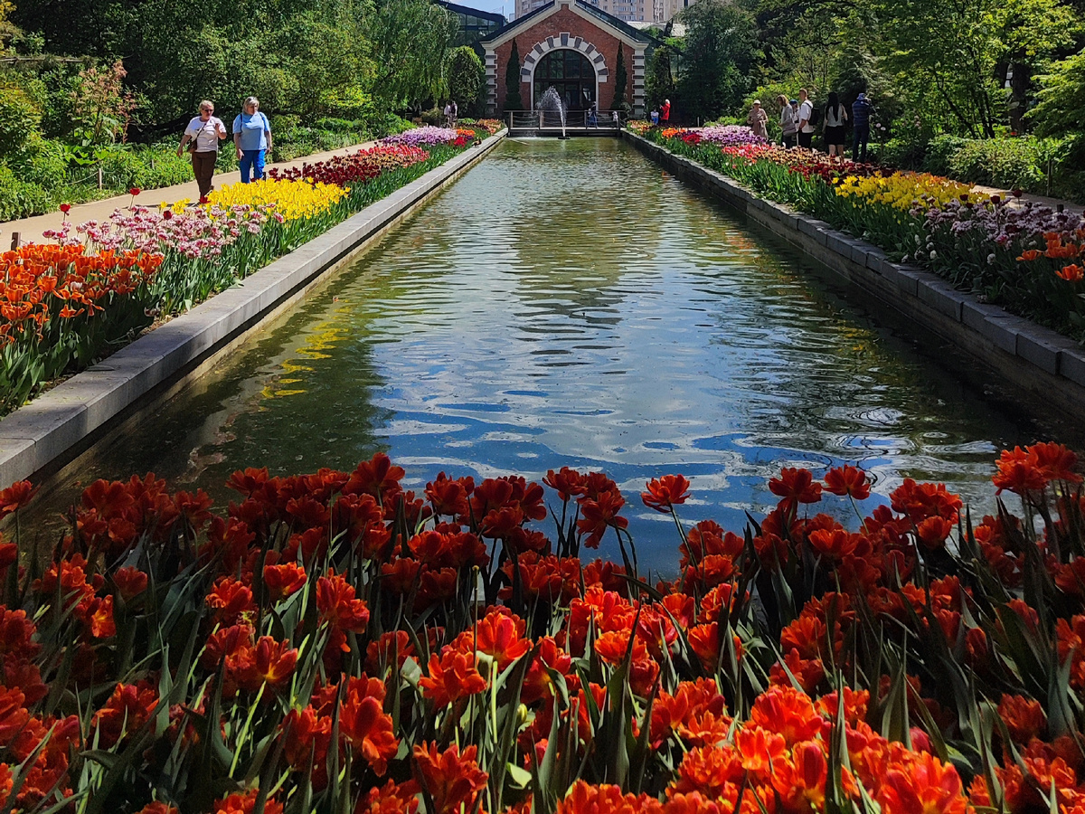 Май 2025 года. Все фото автора статьи.