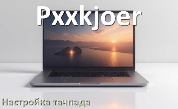 
Как на ноутбуке Pxxkjoer отключить и включить тачпад через BIOS