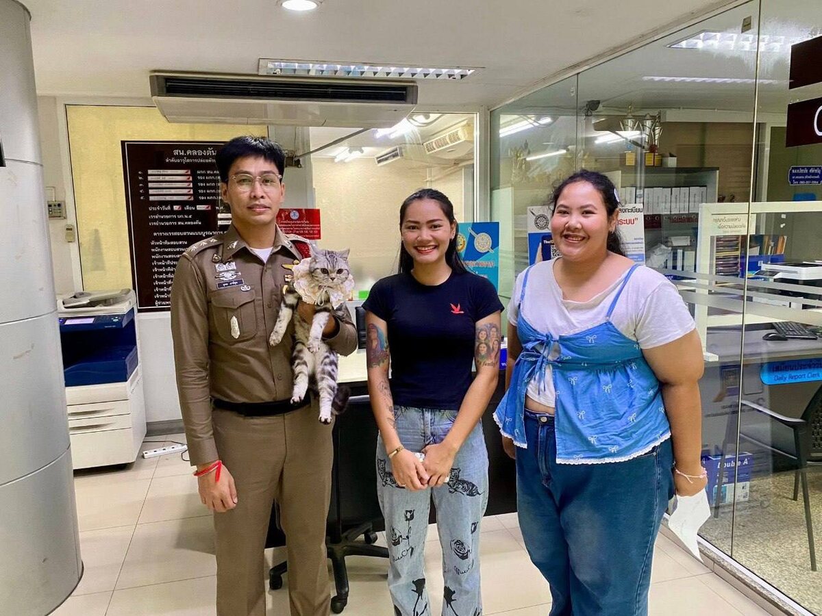 Все фото из интернета