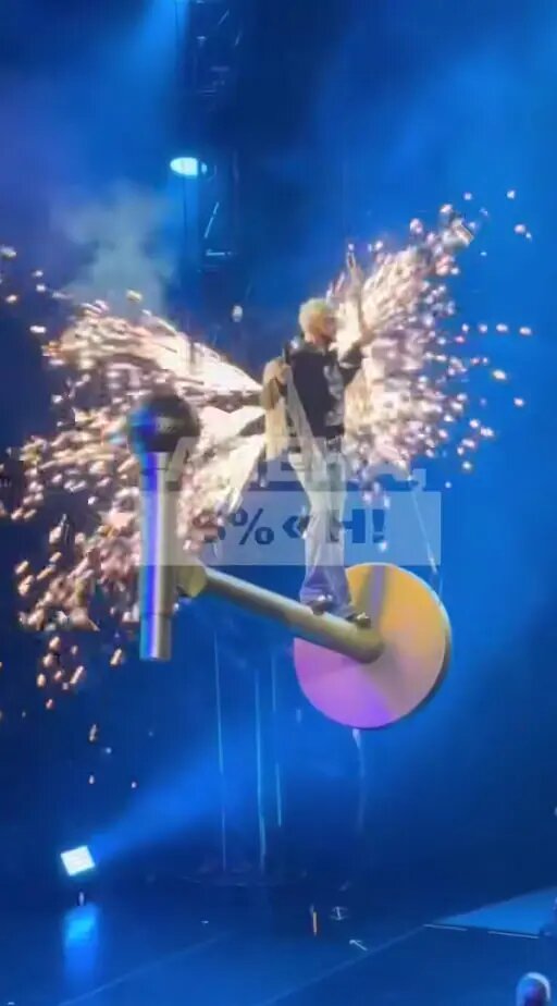    Фото: скриншот из видео в телеграм-канале «Алена, блин!».