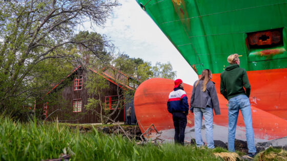 Листайте вправо, чтобы увидеть больше изображений