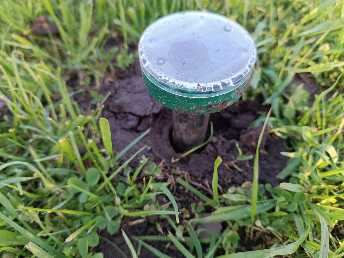 Кроты продолжали копать под ультразвуковое сопровождение